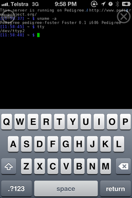 Accessing a running instance of Pedigree via iSSH on my iPhone :)